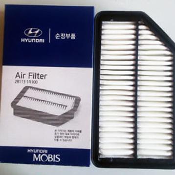 Воздушный фильтр 281131R100- Hyundai/Kia (Корея)